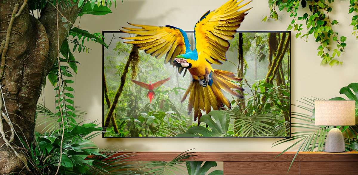 RAY MUEBLES VENTAS DE MUEBLES Y COLCHONES